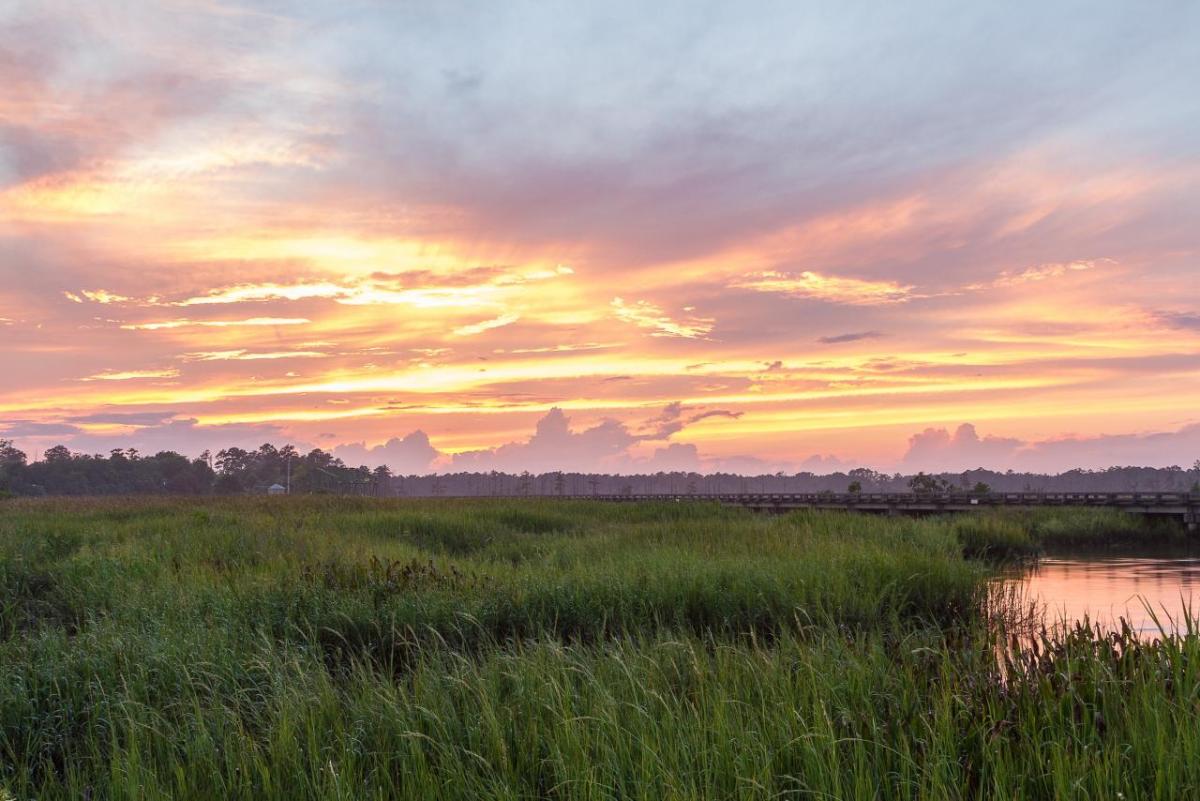 Sunset over a wetland