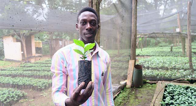 person holding a sprouting plant in a netted greenhouse full of rows of other sprouting plants