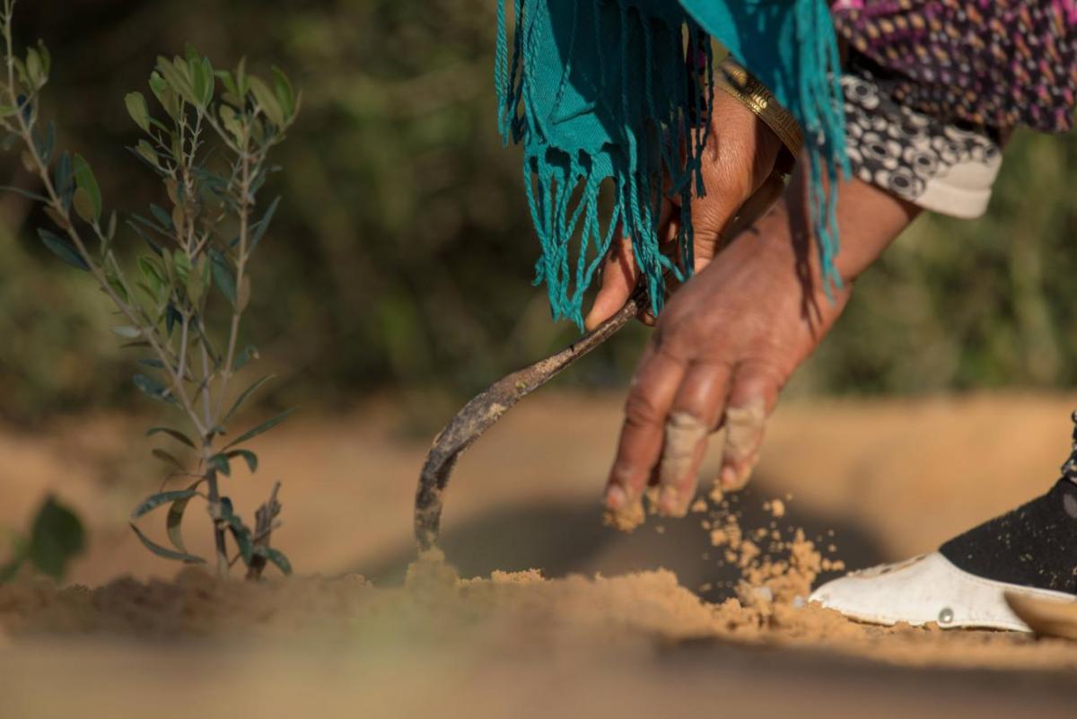 Close up of a person working in soil.