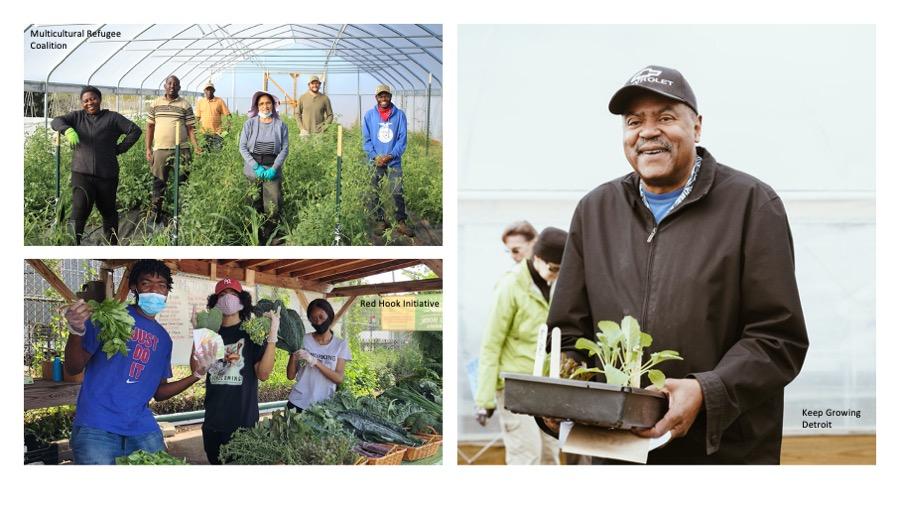 collage of people working with plants