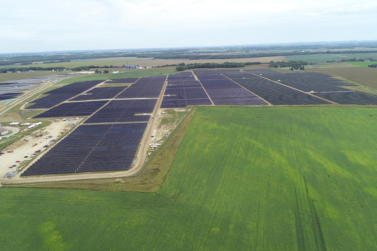 Yellowbud Solar Kiewit