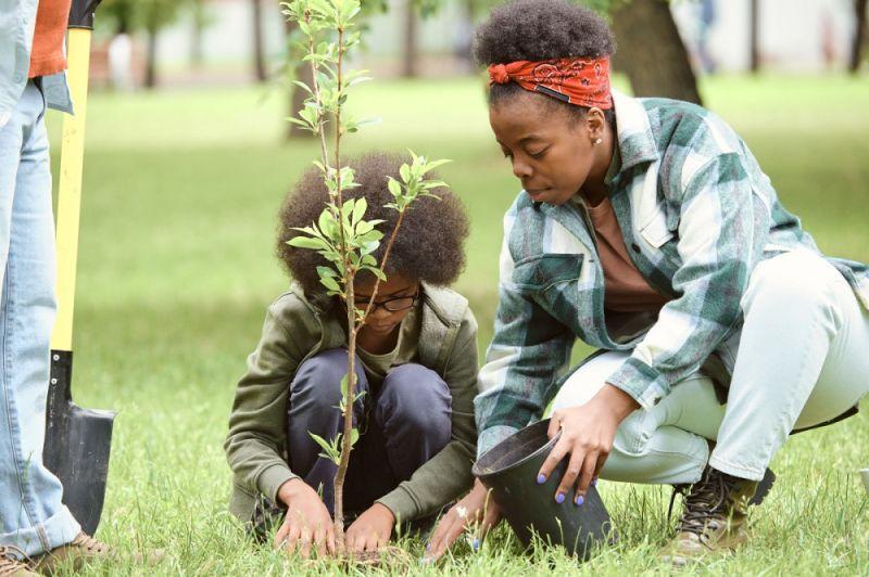 An adult and child planting a tree. Another stands to the side.