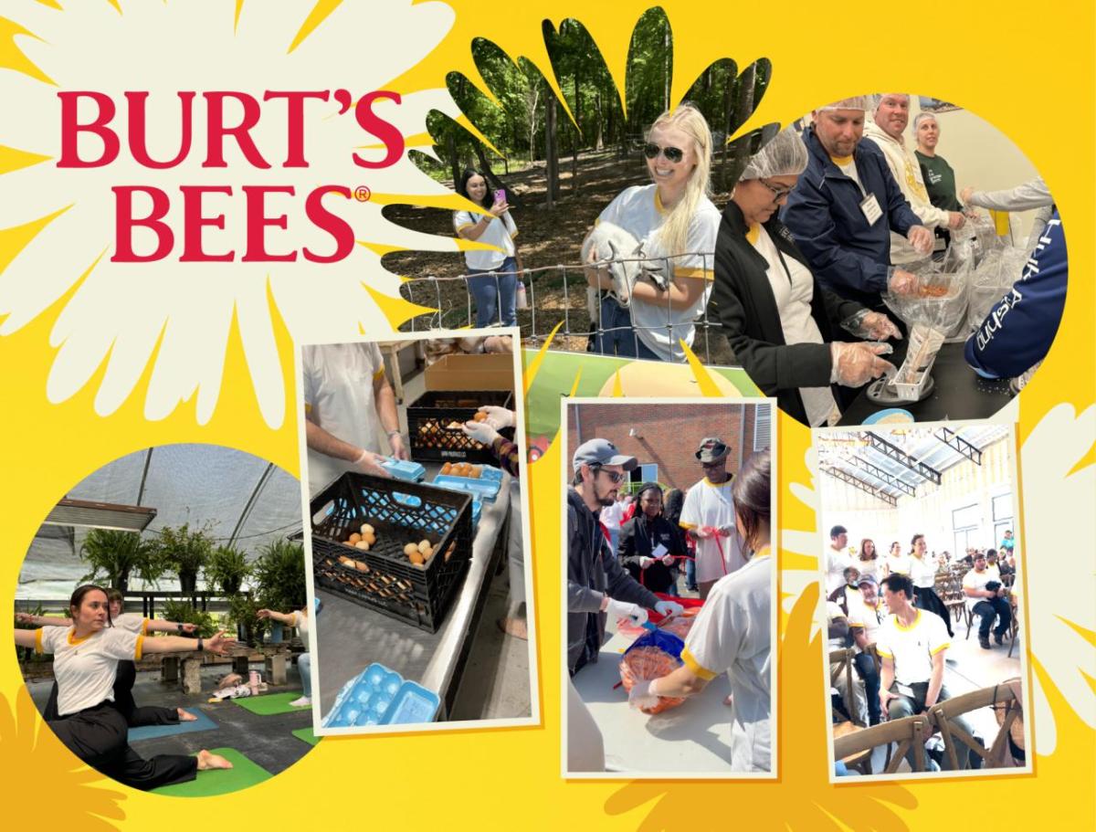 "Burt's Bees" and a collage of people doing volunteer work, yoga, and meeting together.