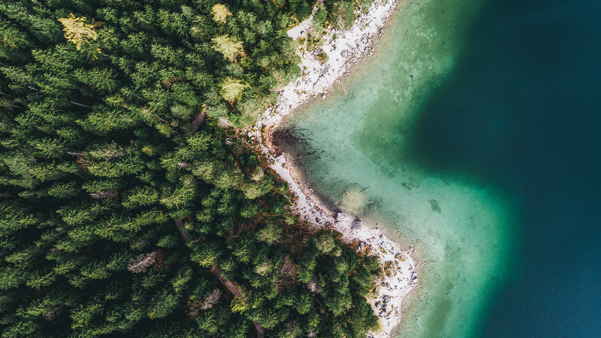 Overhead view of a beach and forest. 