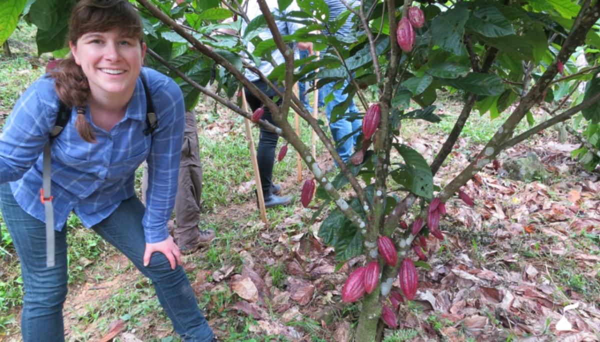 A person stood next to a cocoa plant