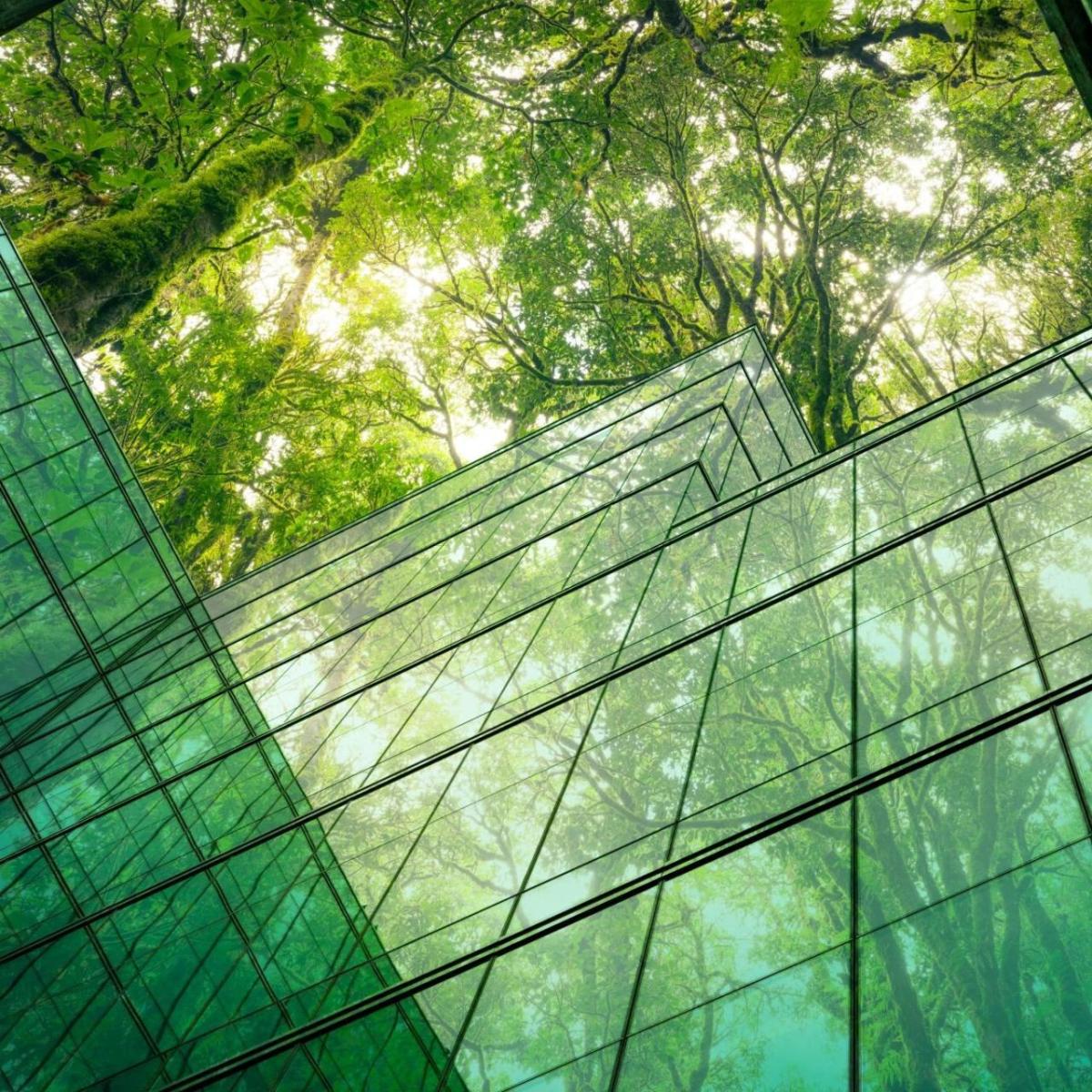 Glass sided building imposed over a canopy of trees.