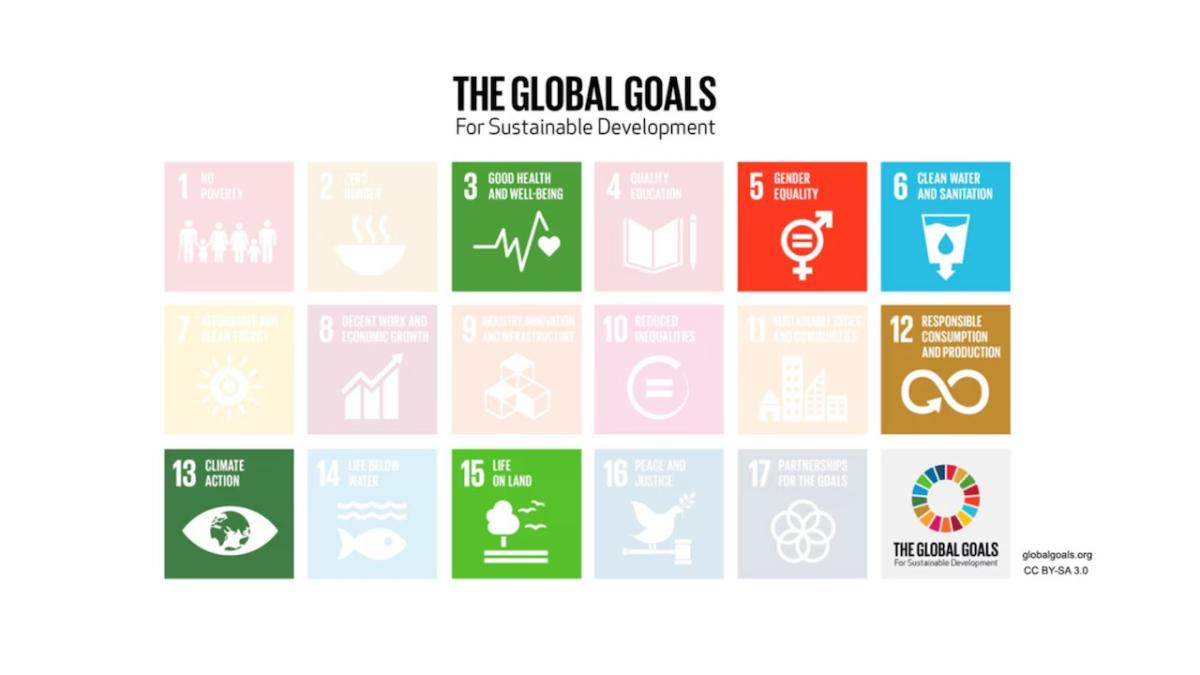Essity SDG Approach Goals
