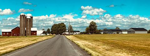 A long road leading to a farm with many buildings.