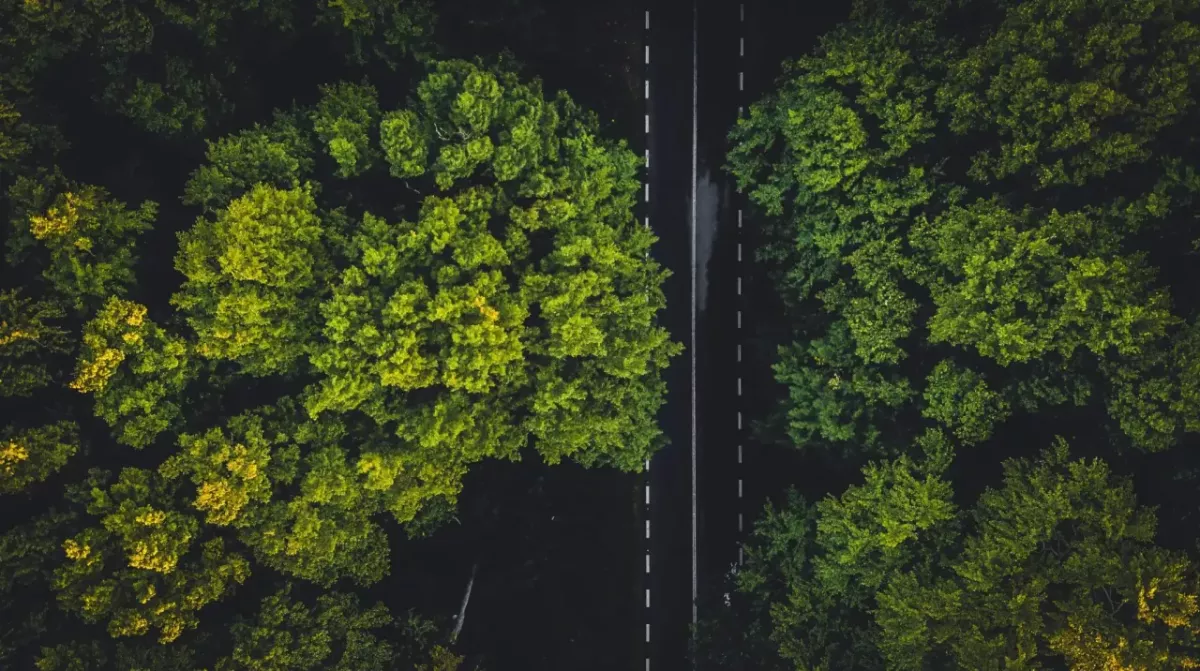 Aerial view of a paved road through a dense forested area