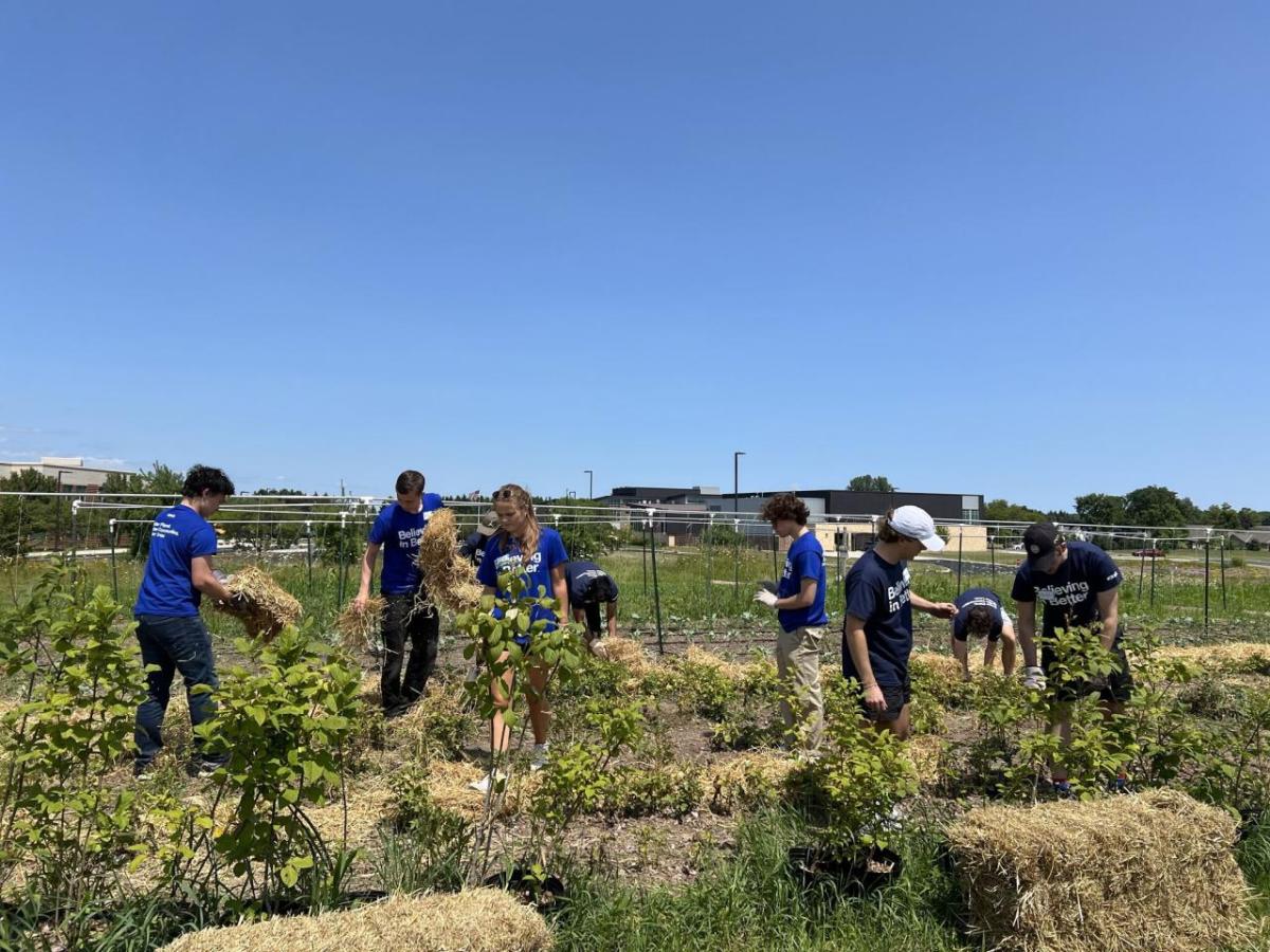 Volunteers in the garden