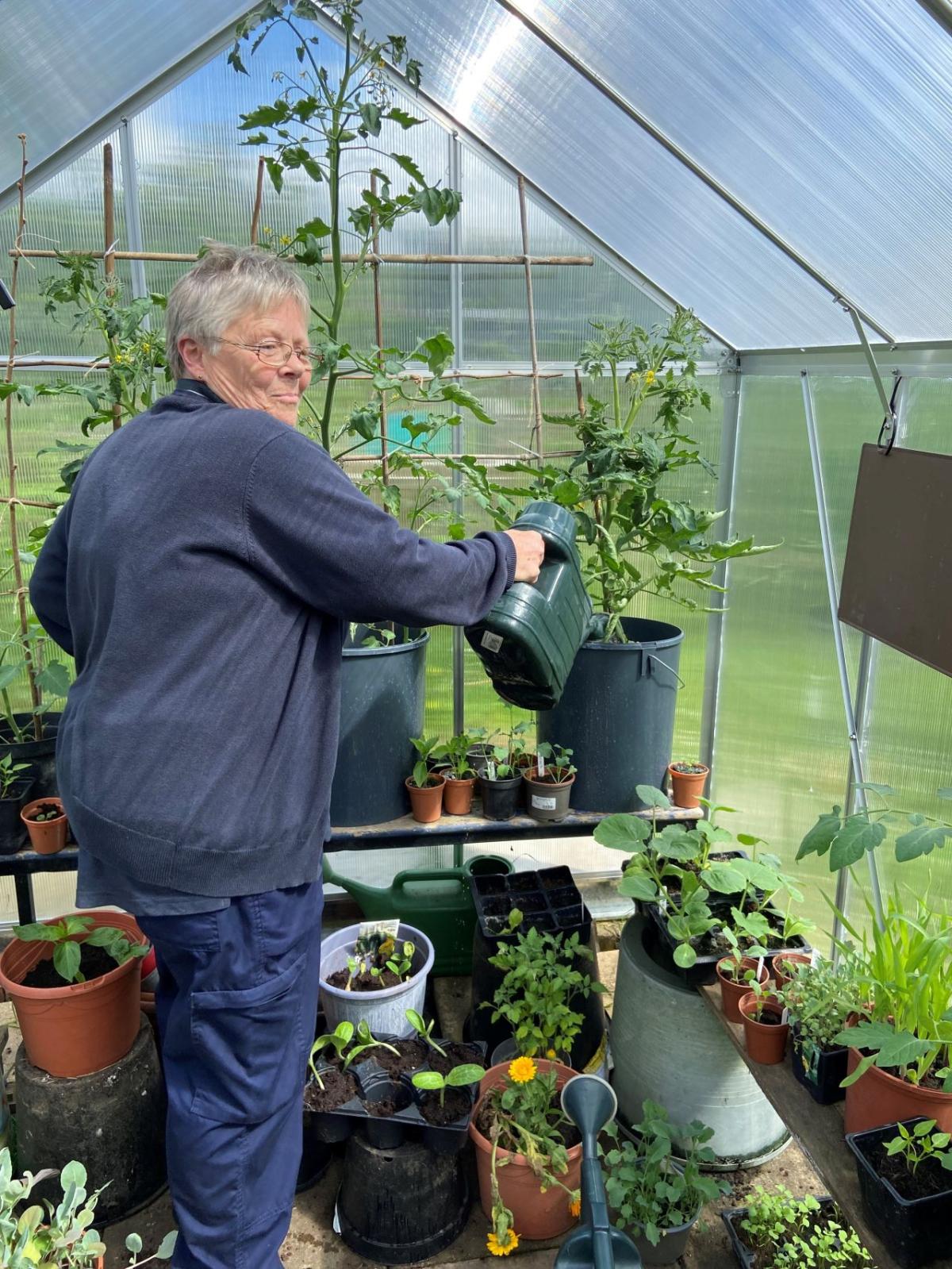 A person gardening in a greenhouse.