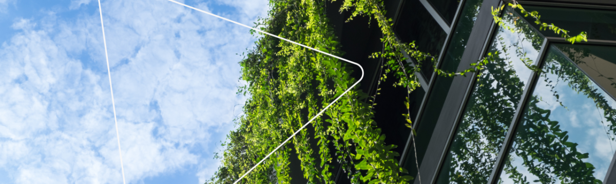 looking up to the sky, the outside of a building covered in trailing greenery