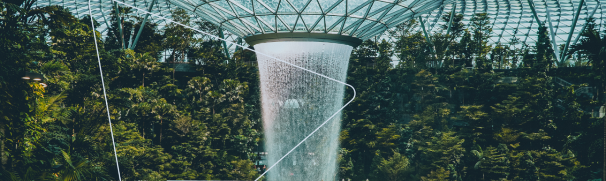 A lush forest inside a glass dome. A shower of water falling in the center.