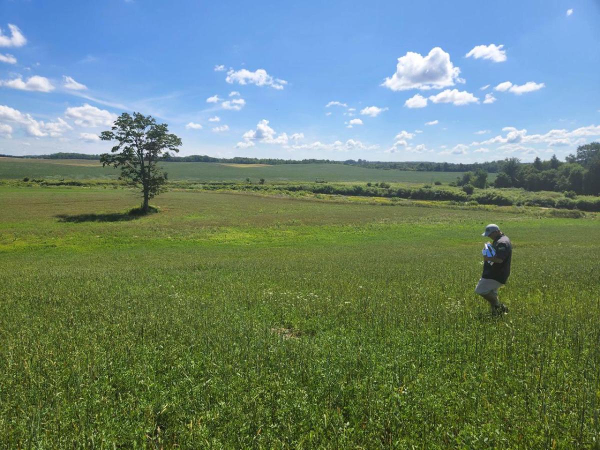 Agricultural landscape in Grey Bruce, Ontario, Canada.