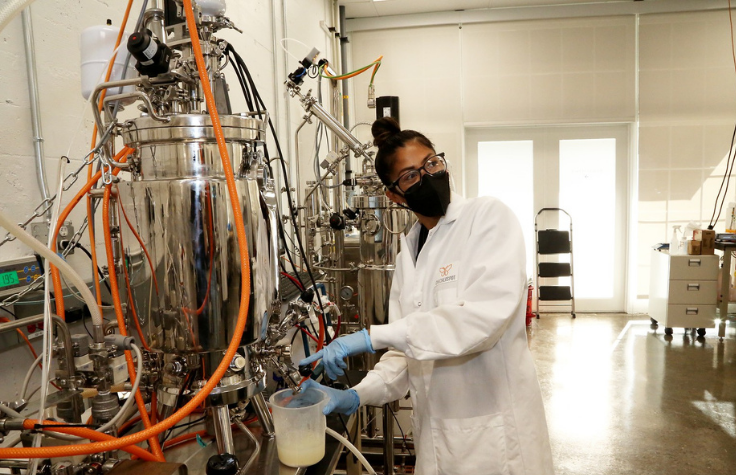 Nina Reyes sampling in the fermentation lab. | Photo: Erika Dimmler