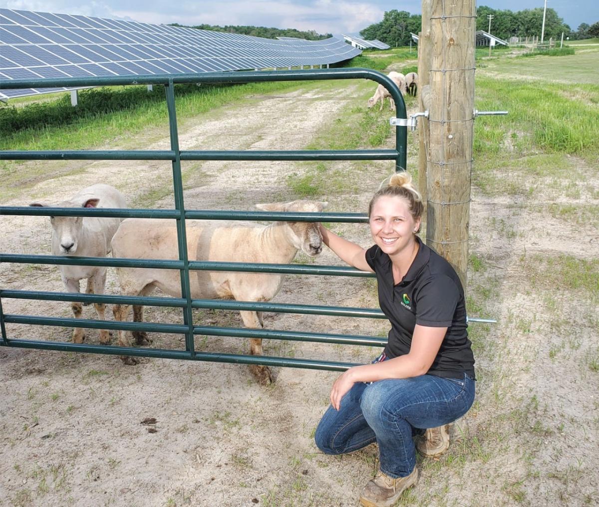 woman crouching by two sheep behind a gate