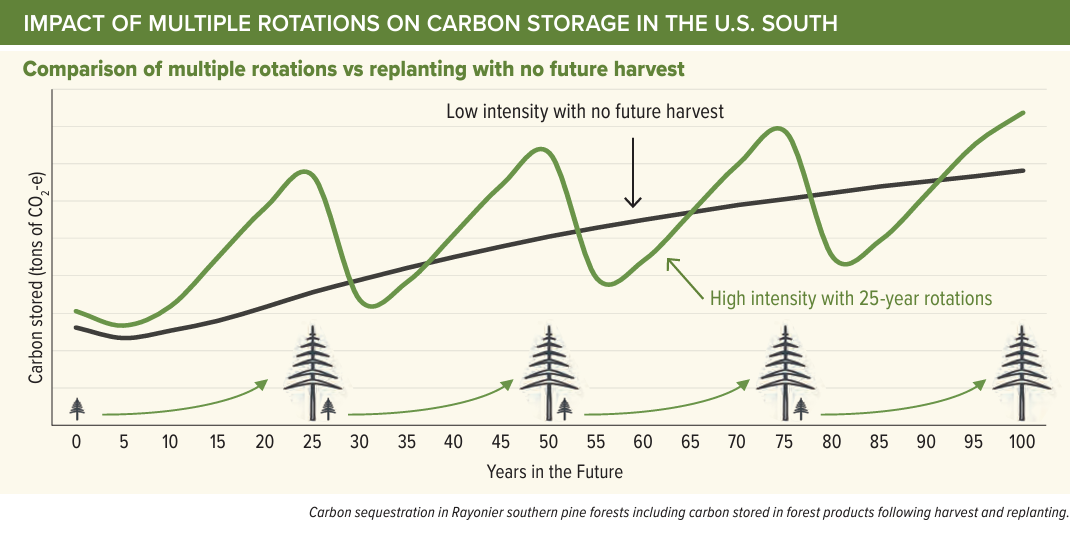 Impact of Multiple Rotations on Carbon Storage in the U.S. South