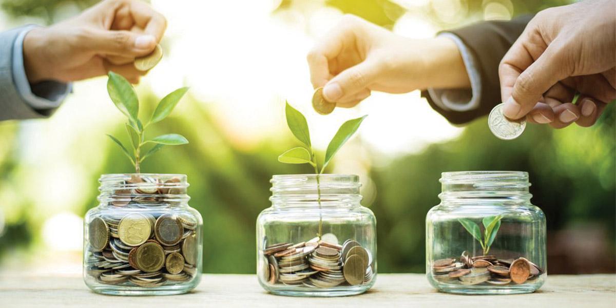 jars of coins with seedlings growing from them