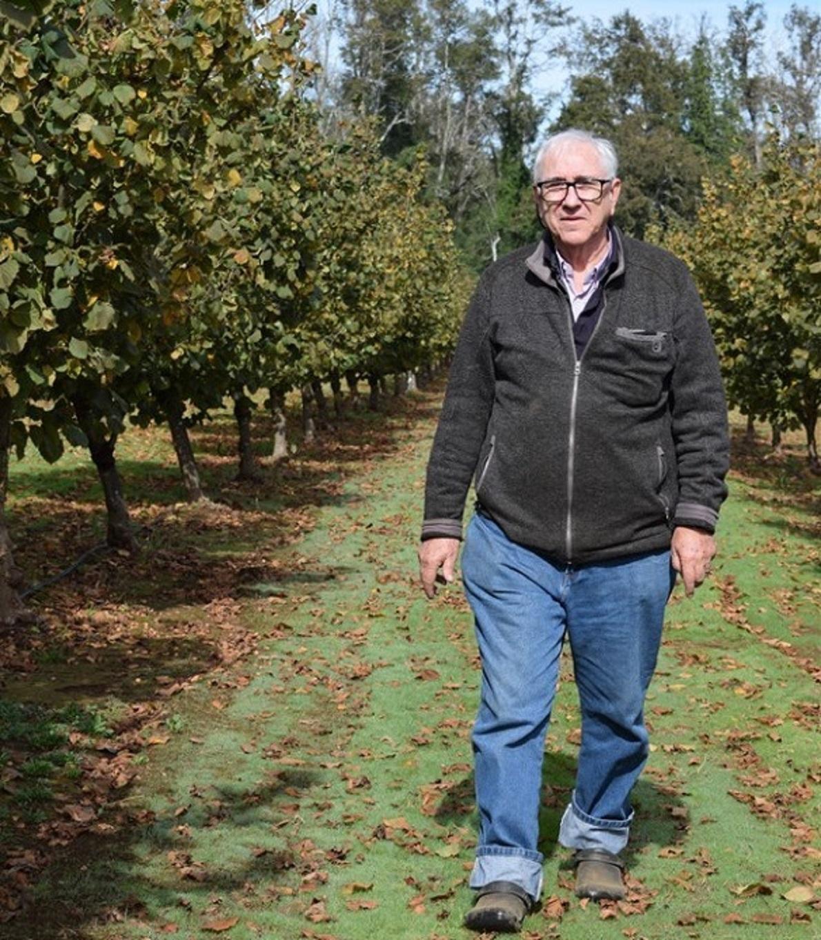 person walking through an orchard