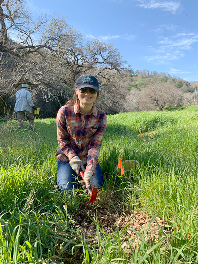 a person knelt beside an orange flag marking a planted tree