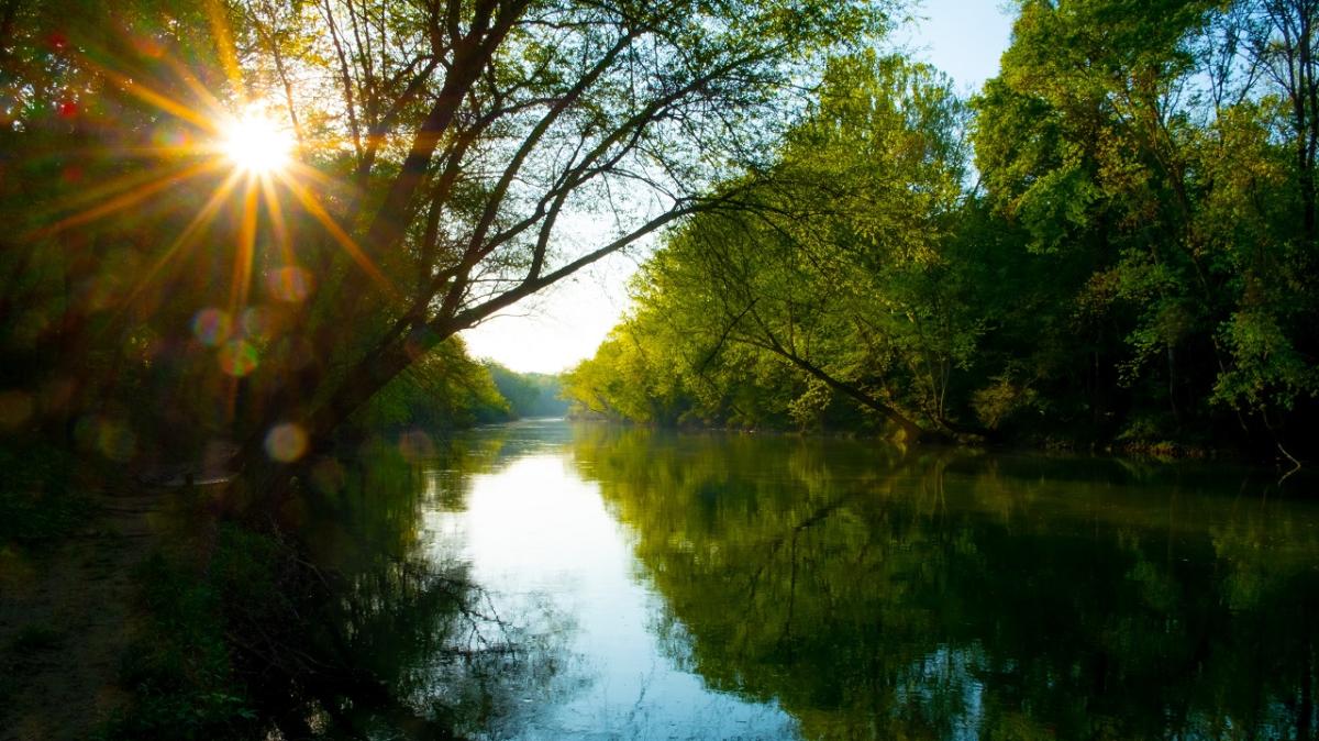 River with overhanging trees and setting sun