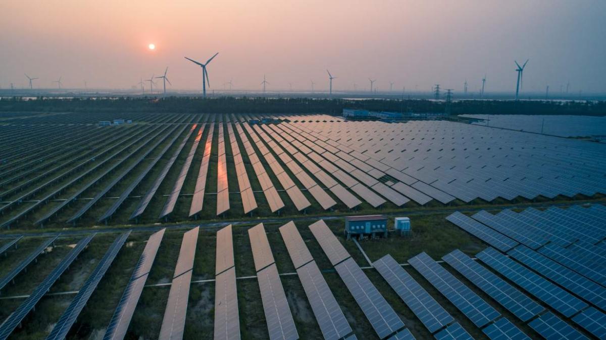 solar field at sunset