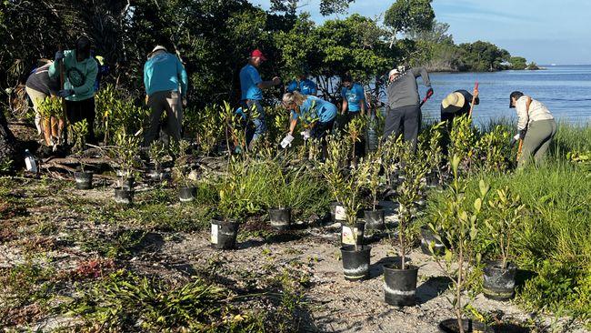 volunteers with plants on a riverbank