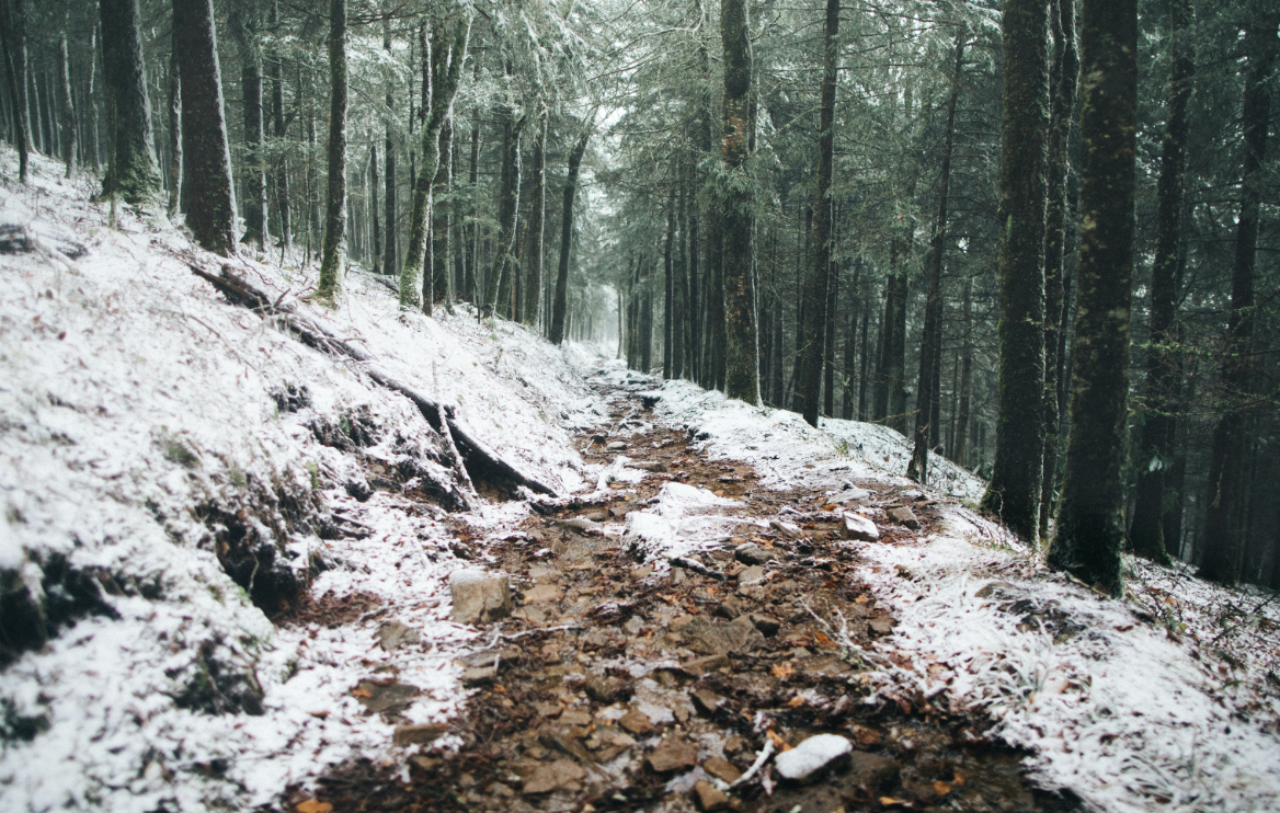 Great Smoky Mountains