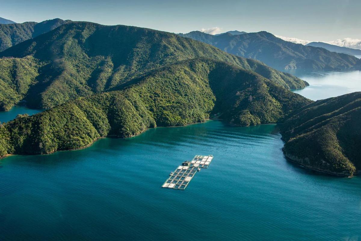 boats in water surrounded by mountains