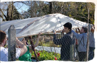 Employees lifting up a tent
