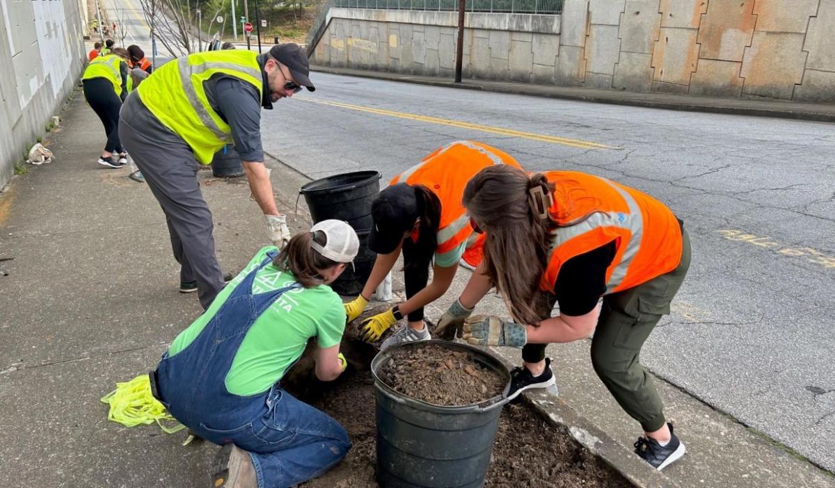 Volunteers planting trees on the side of a road.