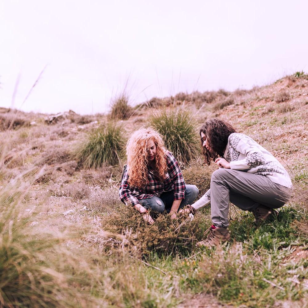 Two people crouched on a dry hillside looking at a plant.