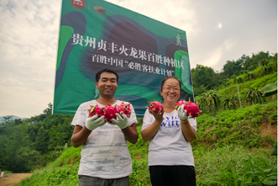 2 people holding dragonfruits