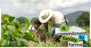 An adult and child planting in a field.